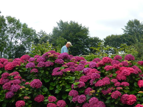 gîte Leblon jean-claude